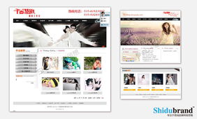 本草網站建設 打造中醫藥文化的數字化名片